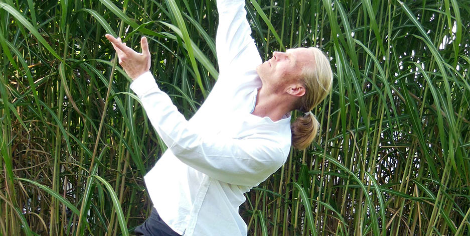 Taijiquan 